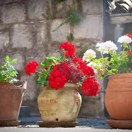 Guest house Pezelj Split