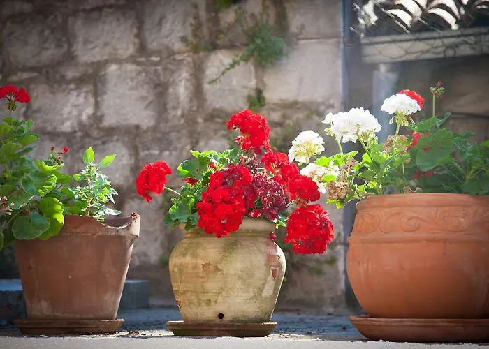 Guest house Pezelj Split