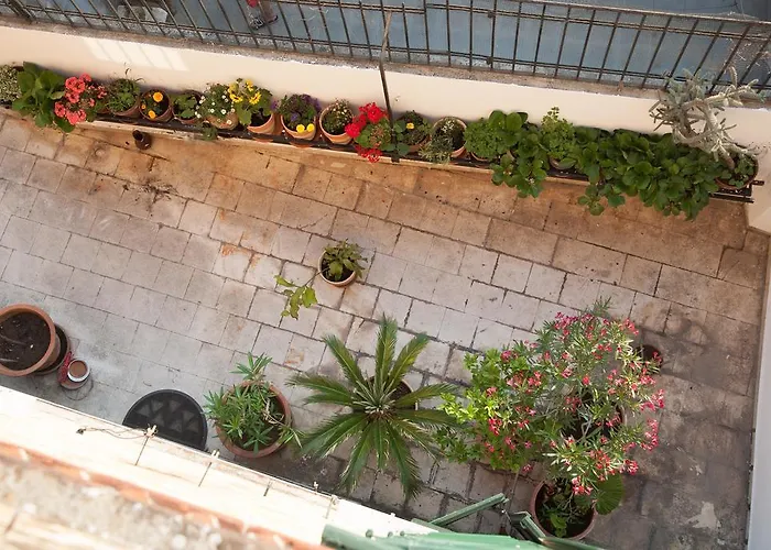 Guest house Pezelj 4*