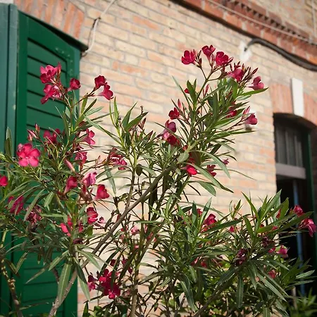 Pezelj Guest house 4*