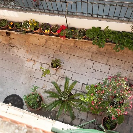 Guest house Pezelj 4*