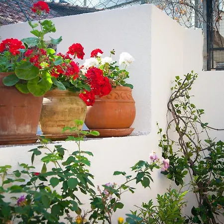 Pezelj Split